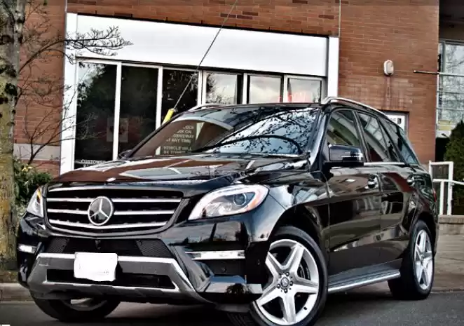 Usado Mercedes-Benz Unspecified Venta en al-sad , Doha #7061 - 1  image 